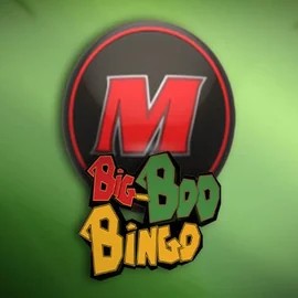 Big-Bod Bingo logo by FBM at Robocat Casino