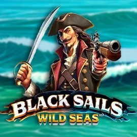 Official Slots logo: Black Sails Wild Seas by Infinity Dragon Studios at Robocat Casino