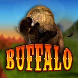 Play Buffalo Bingo slot by MGA Games on casinorobocats.com