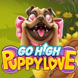 Go High Puppy Love online slot from RubyPlay – play at casinorobocats.com