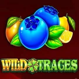 Play Wild Traces slot by Amusnet Interactive on casinorobocats.com